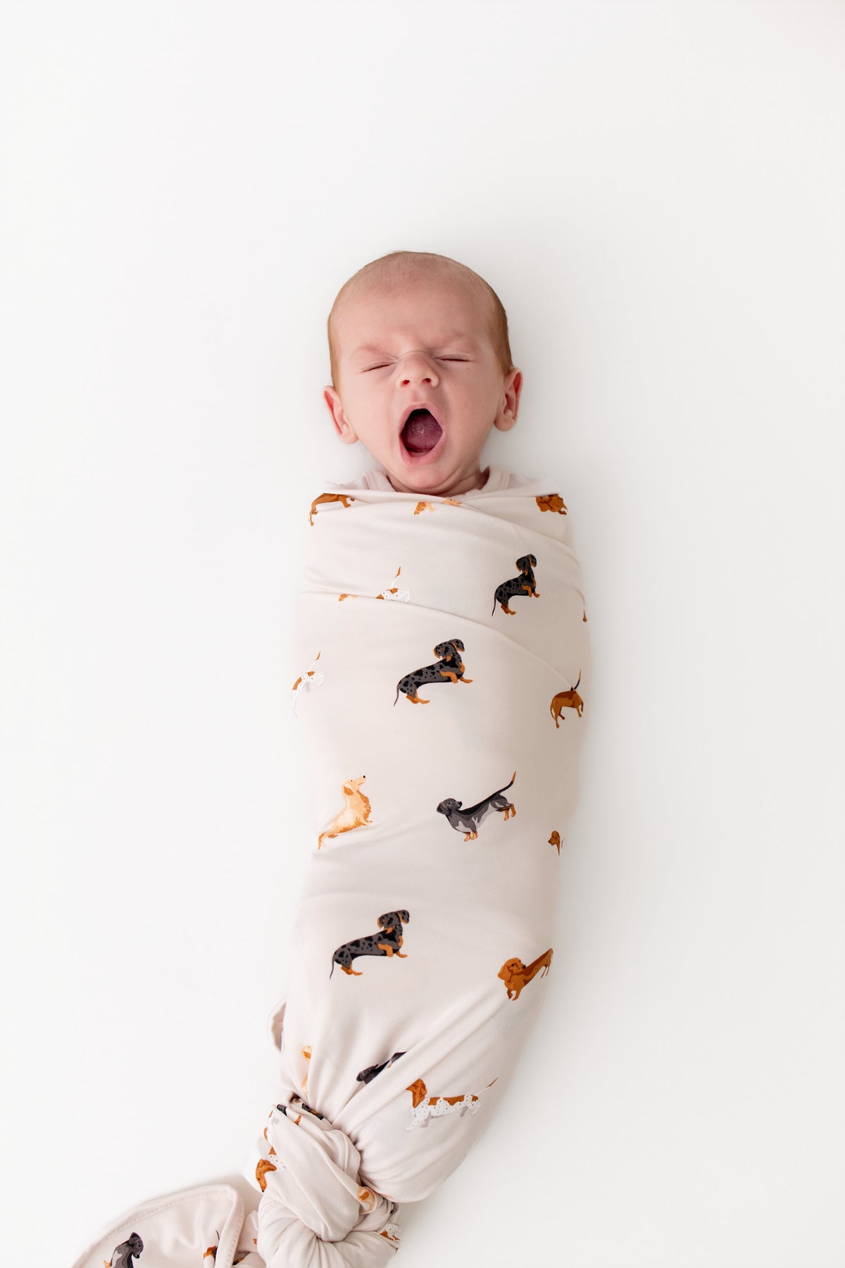Everything you Need to Know about Swaddling