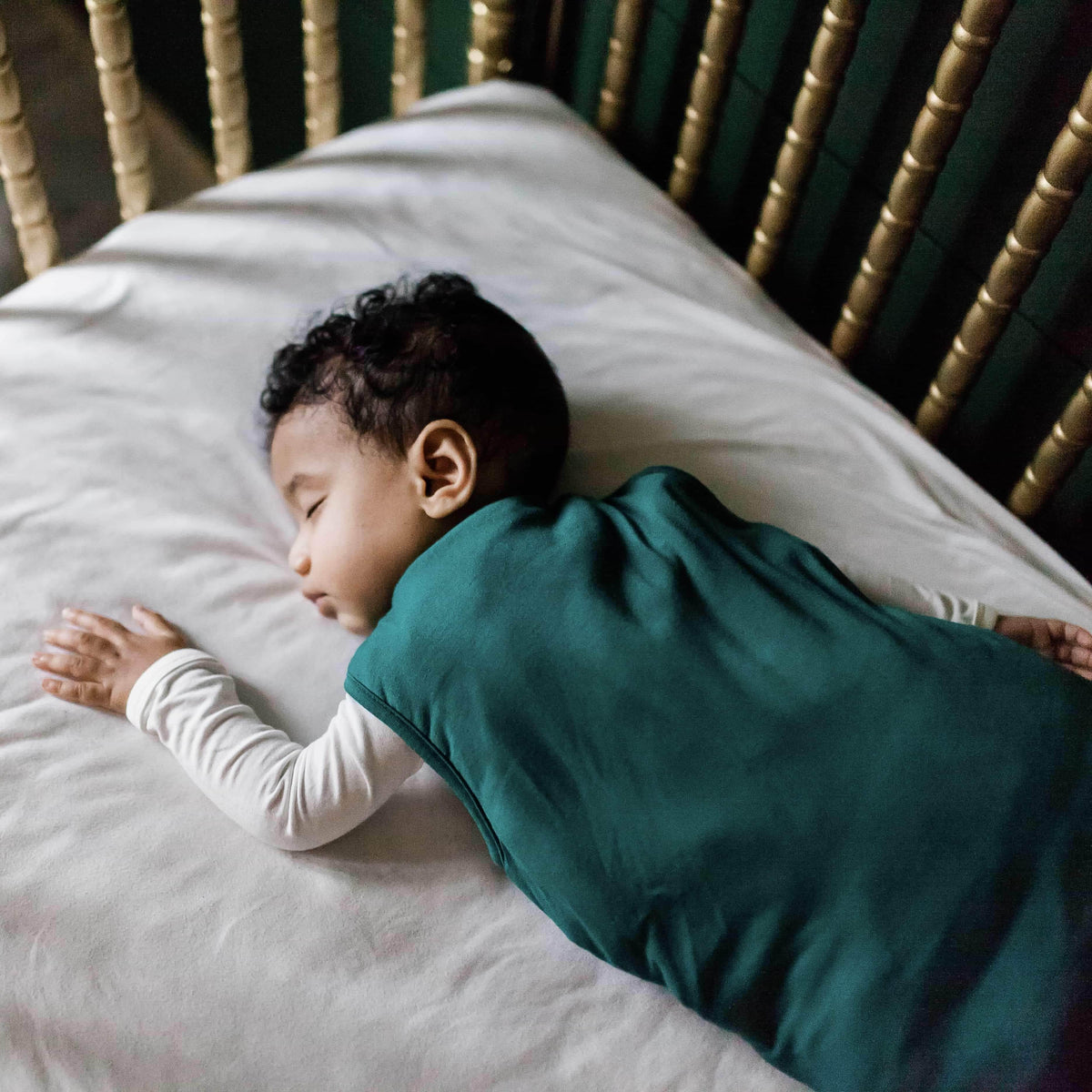 Sudden Unexpected Infant Deaths: SIDS and ASSB & how to reduce their risks