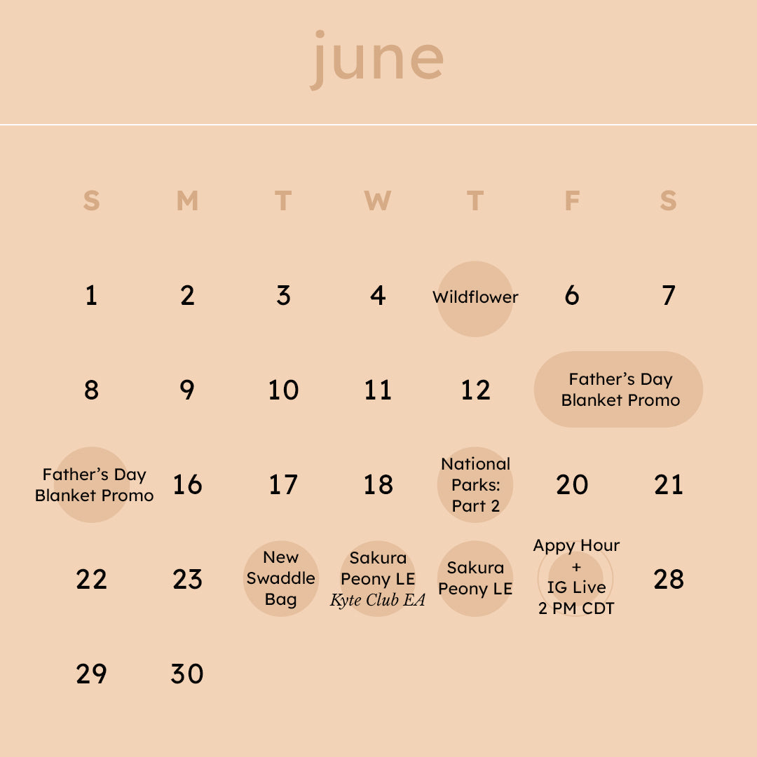 June 2025 Launch Calendar Overview
