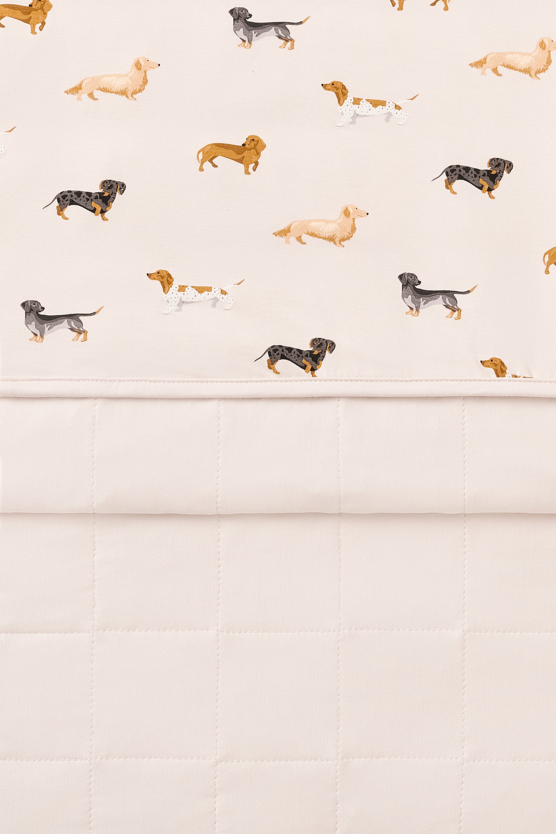 Front and Back of Beige Baby Blanket with Dachshund print