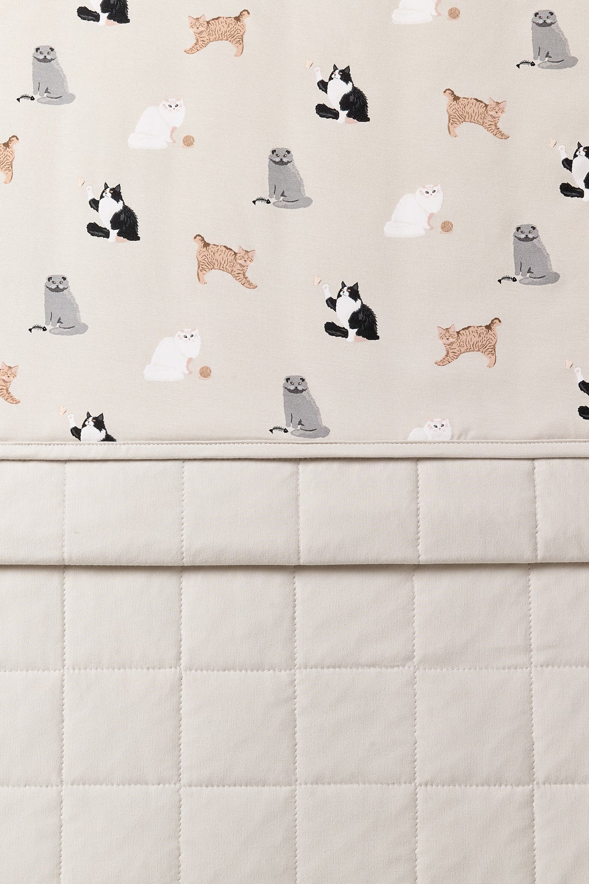 Close up of the Toddler Blanket in Fluffy Cat 1.0 showing the light beige quilted backing and smooth top layer cat print