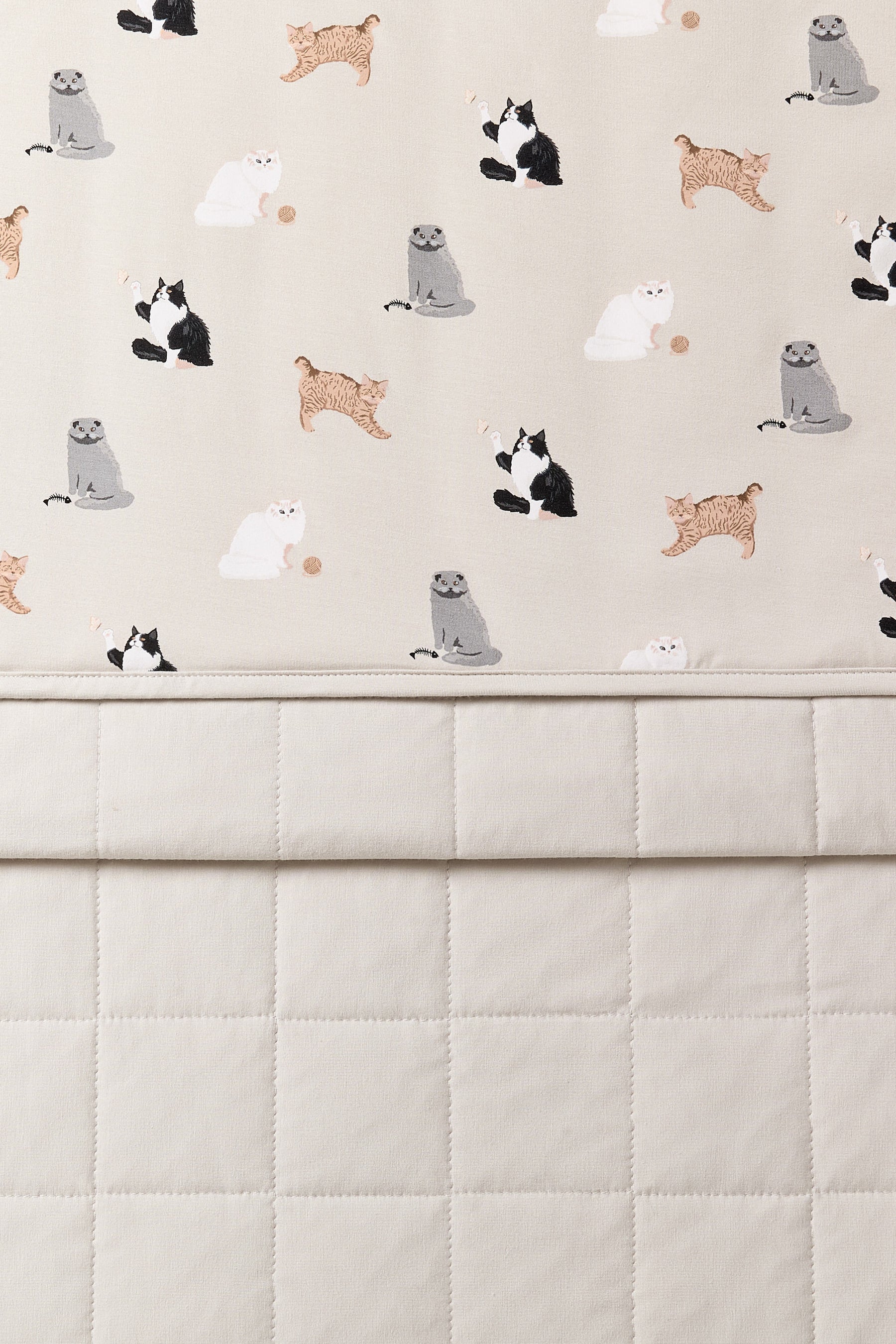 Close up of the Toddler Blanket in Fluffy Cat 1.0 showing the light beige quilted backing and smooth top layer cat print