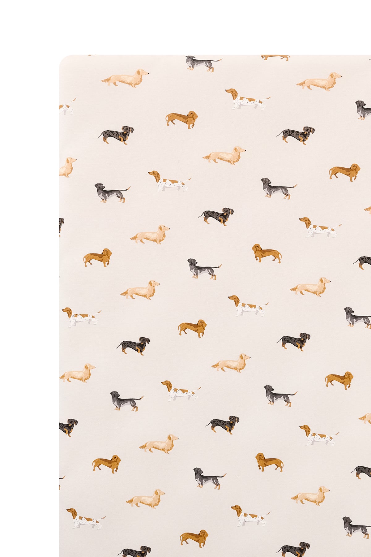 Beige Twin Sheet in Dachshund print on a white background