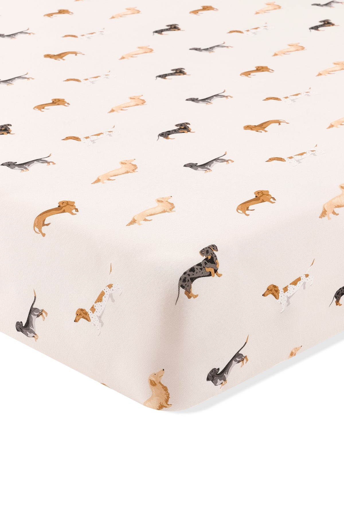 Beige Twin Sheet in Dachshund print on a white background