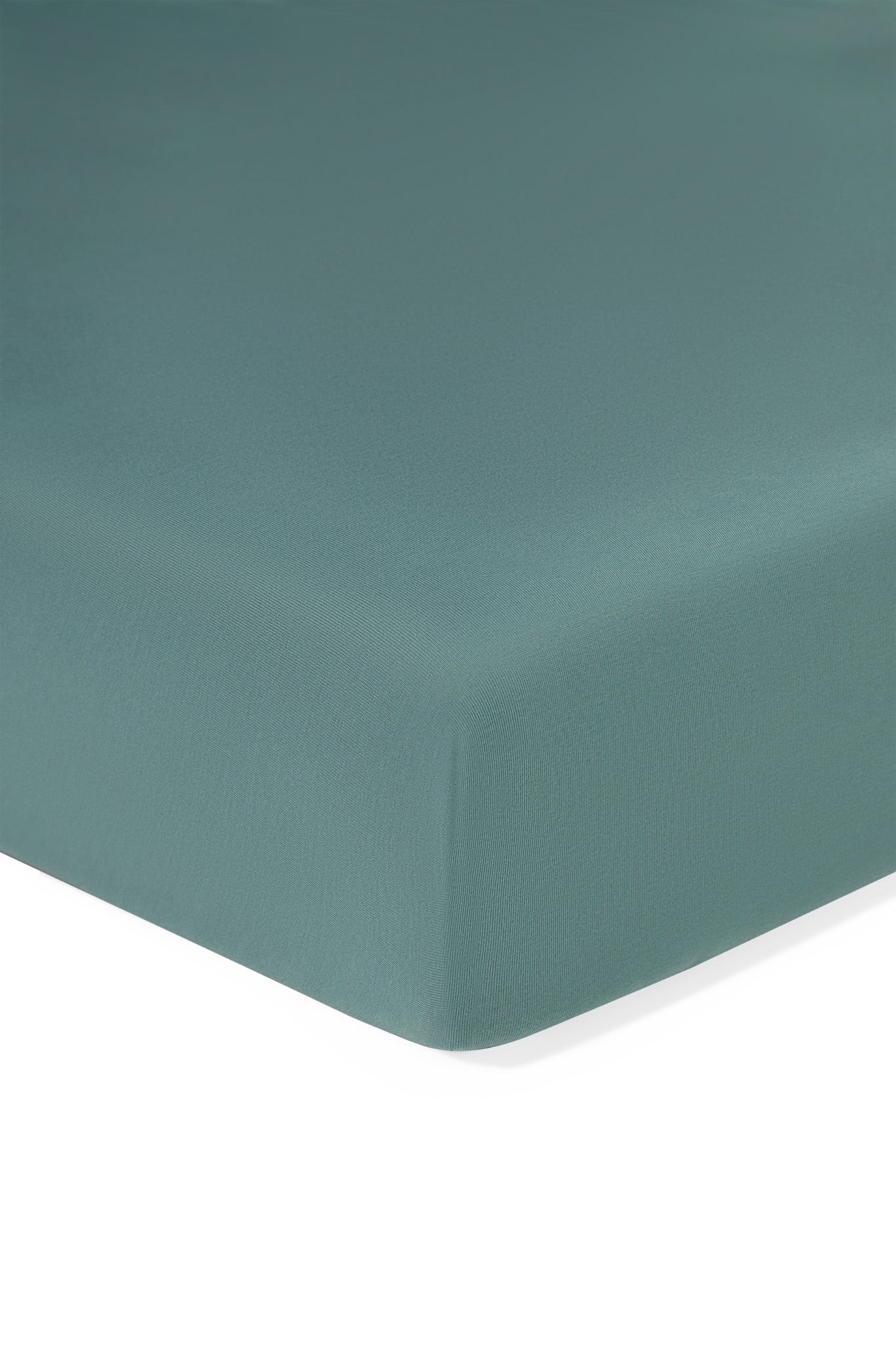 Twin Sheet in Pine on a white background