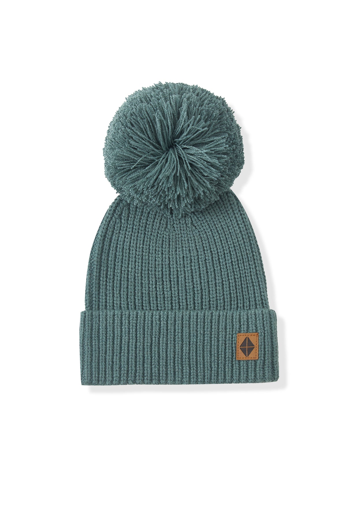 Chunky Knit Pom Beanie in pine on a white background