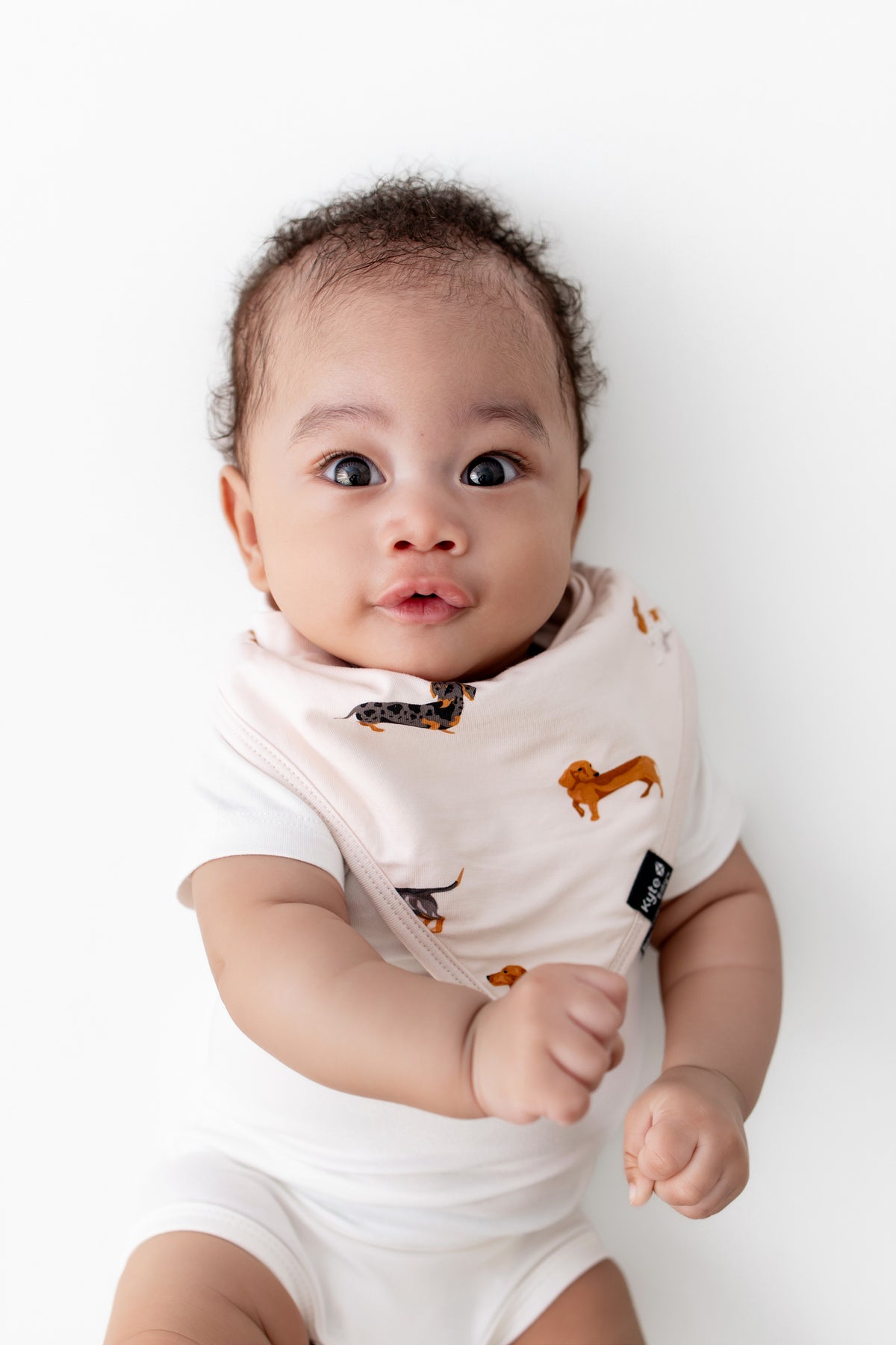 Baby wearing white bodysuit under Beige Bib with Dachshund print on a white background