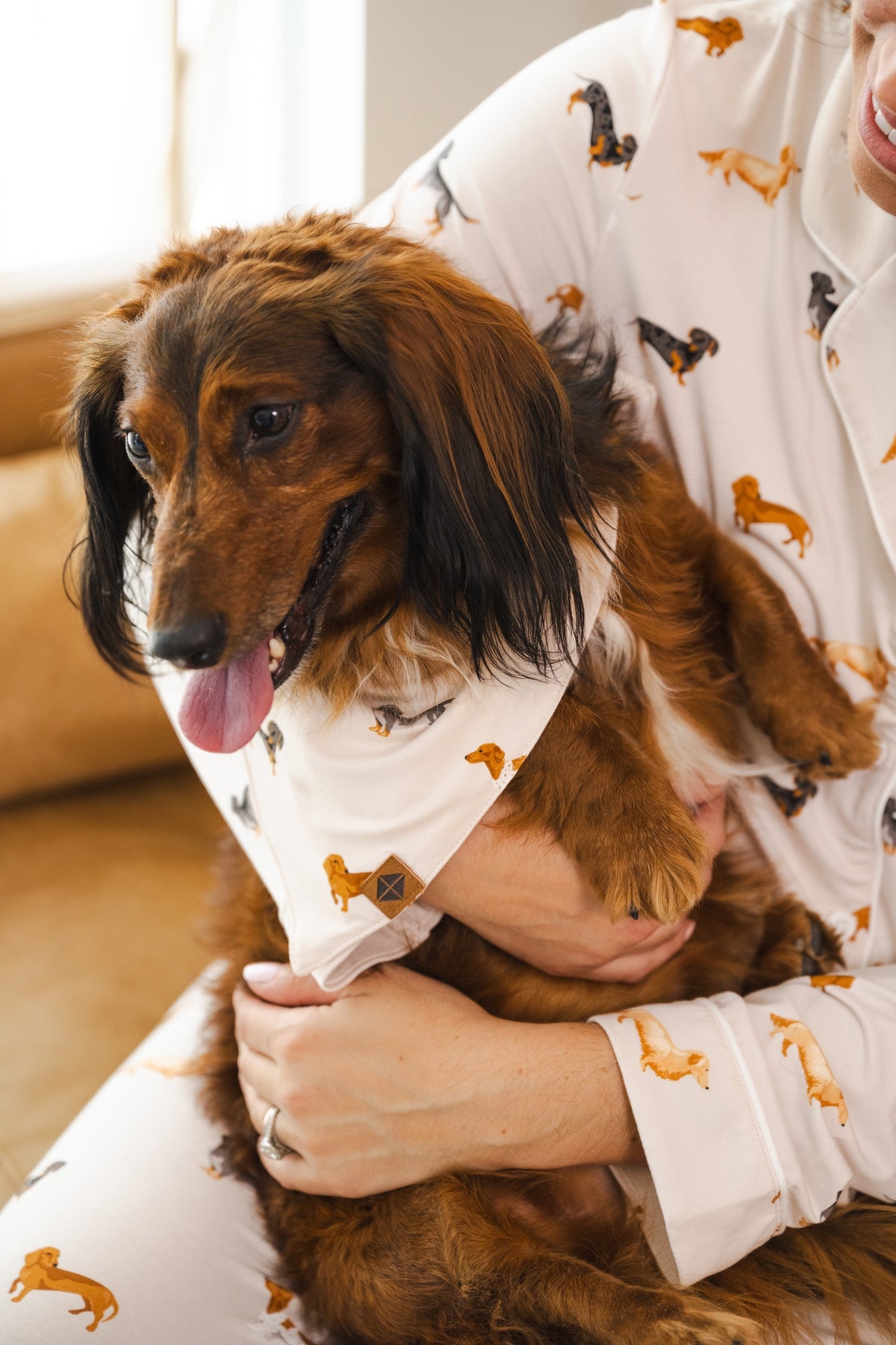 A person holding a Dachshund dog in Beige Dog Bandana in Dachshund print also wearing a similar print pajamas