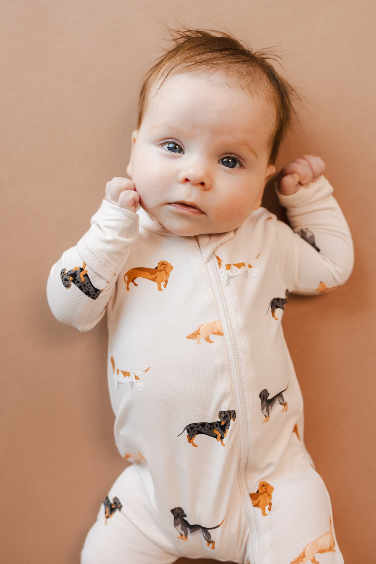 Baby wearing Beige Zippered Romper in Dachshund print on a brown background