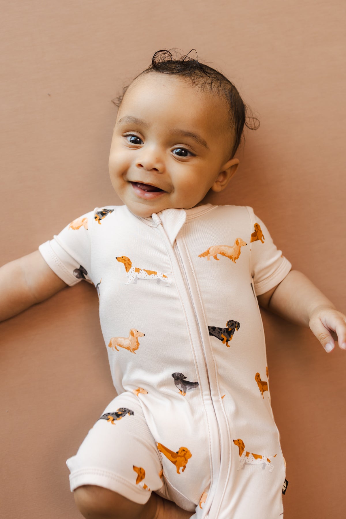 Baby wearing Beige Zipper Shortall Romper in Dachshund print on a brown background