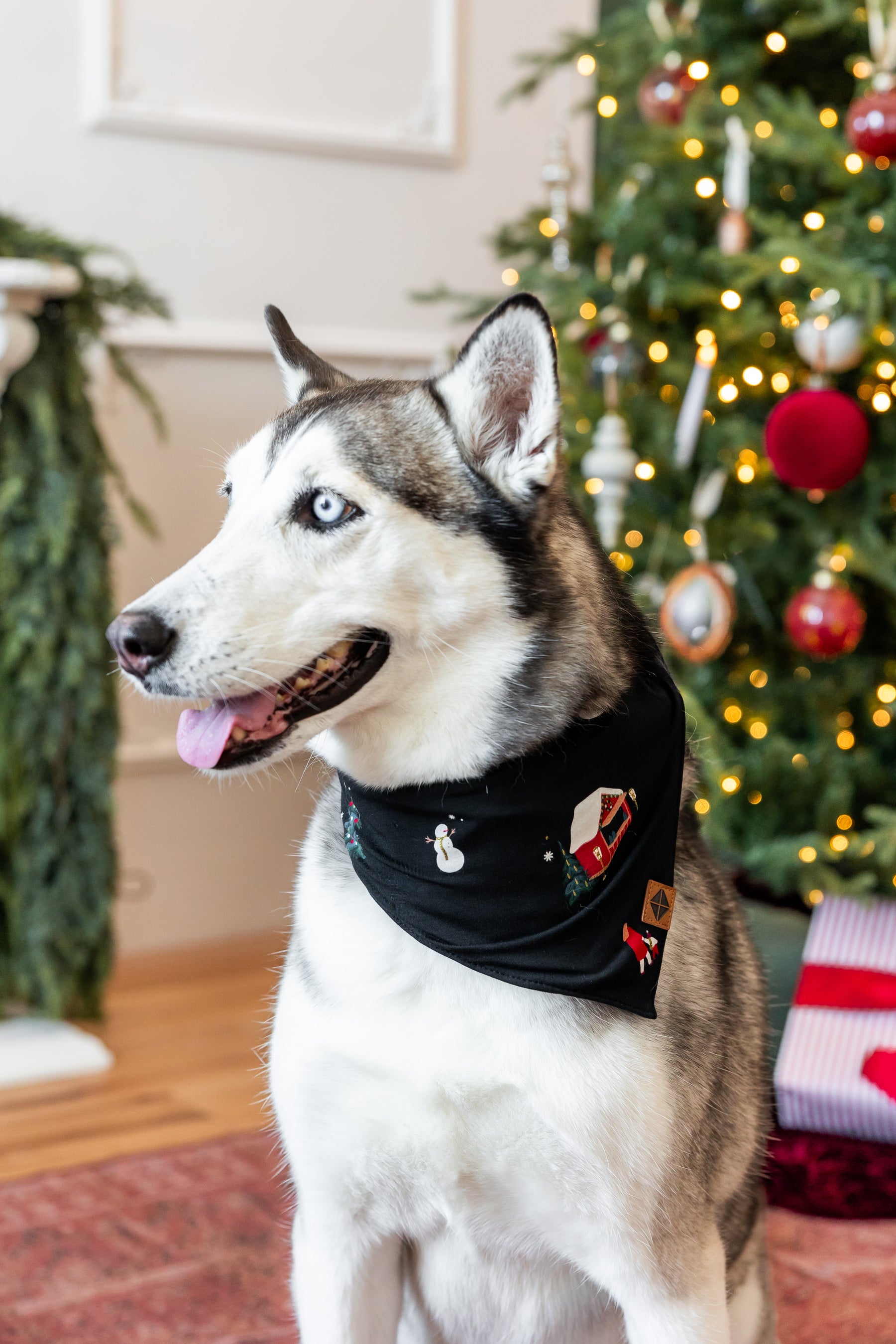 Dog Bandana in Winter Wonderland