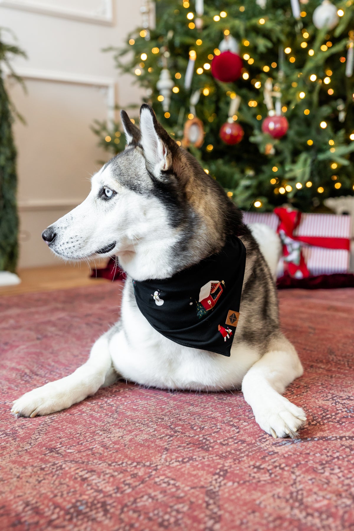 Dog Bandana in Winter Wonderland