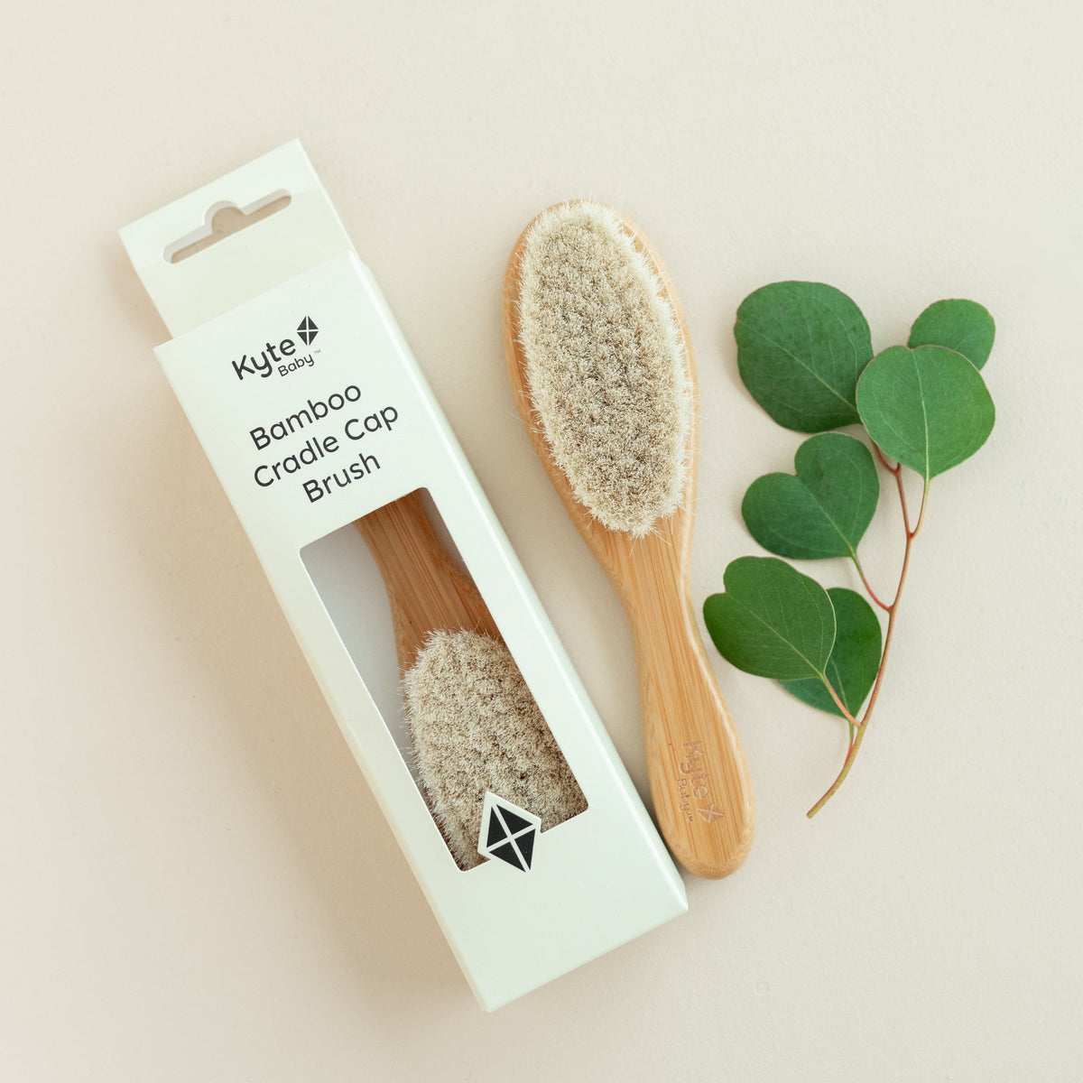 Cradle Cap Brush in packaging next to a Cradle Cap Brush outside of package and eucalyptus 