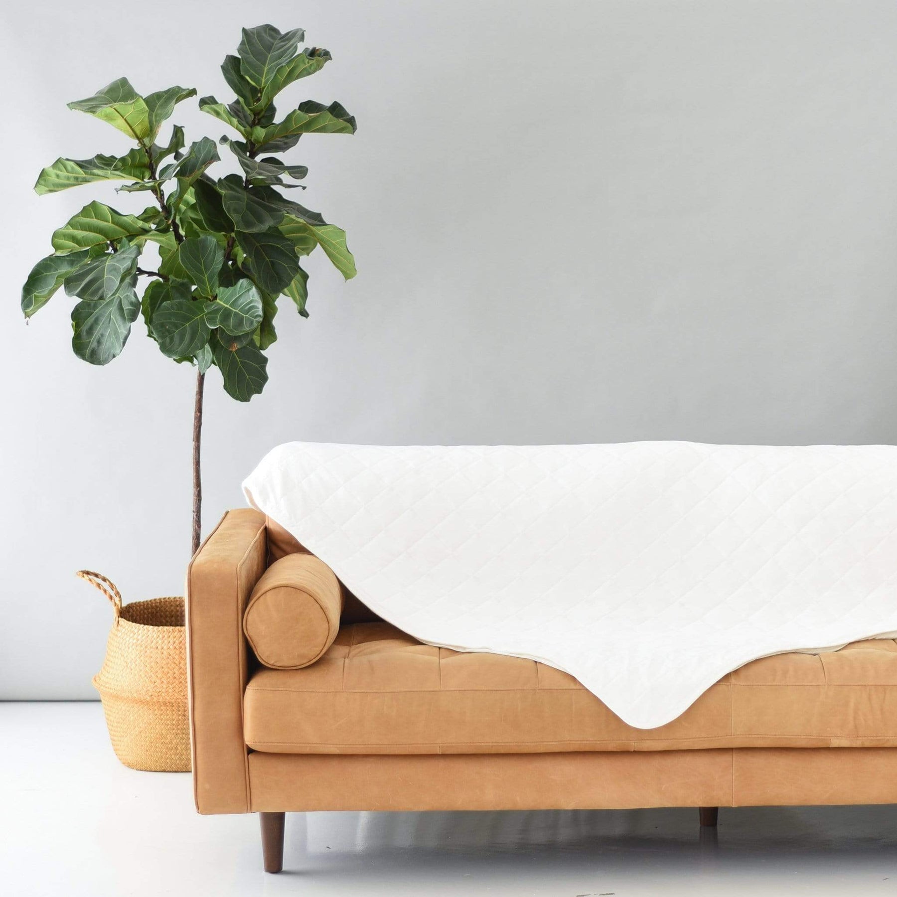 Couch with Kyte Baby Adult Quilted bamboo Blanket in Cloud