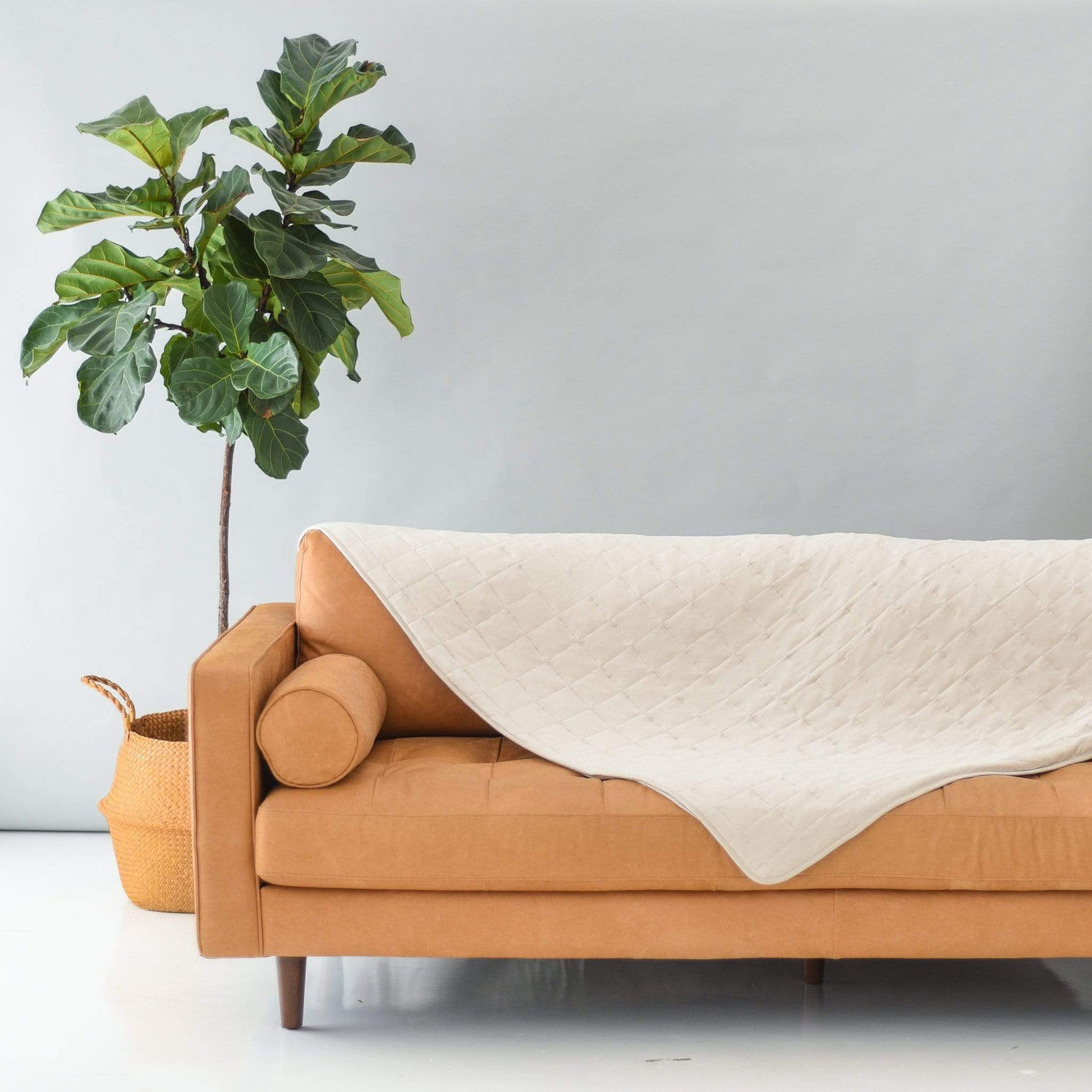 Couch with Kyte Baby Adult Quilted bamboo Blanket in Oat