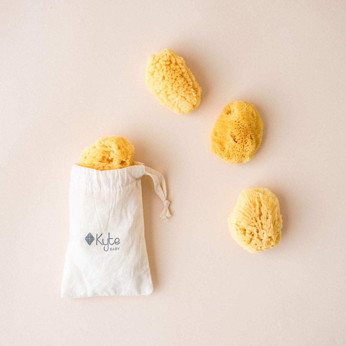 Kyte Baby 4 Pack Bundle of Face Sea Sponges